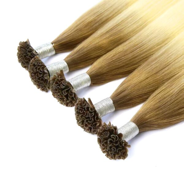 OMBRE U-TIP Extensions de cheveux en brun clair à blond Wholesale