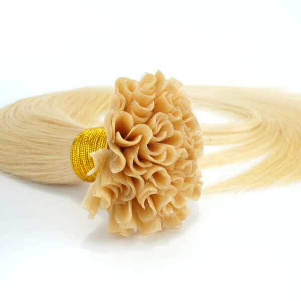 U-TIP Keratin Hair Extensions from Wholesale Wig Supplier (Extensions de cheveux à la kératine U-TIP)
