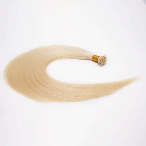Y-Tip-Remy-Extensions de cheveux humains en blond-613-2